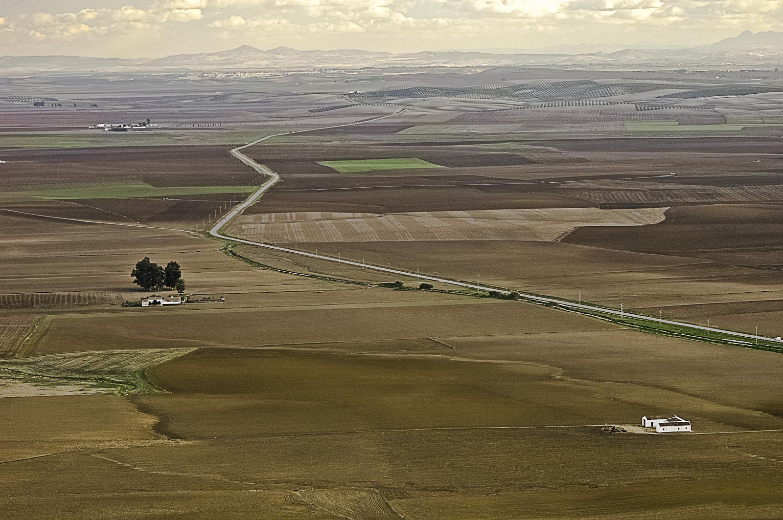 Alfavi La campiña de Carmona