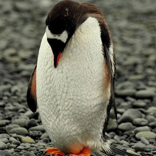 Hd-178023-ascw178023