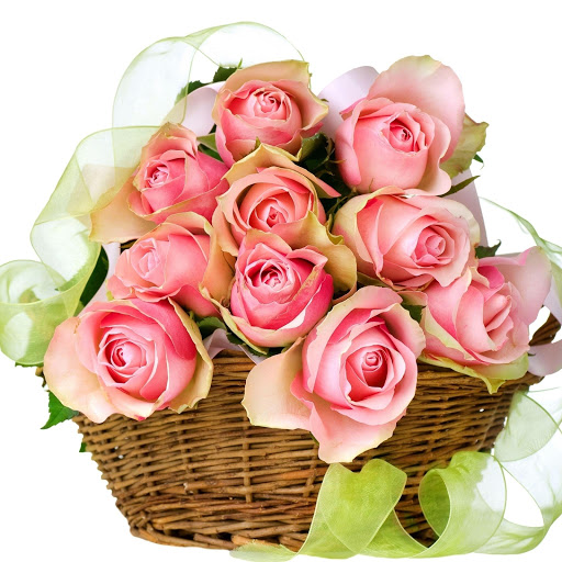 Hd-178499-ascw178499