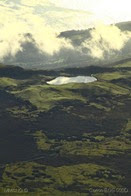 IMG_2303 IMG_2303