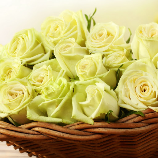 Hd-141303-ascw141303