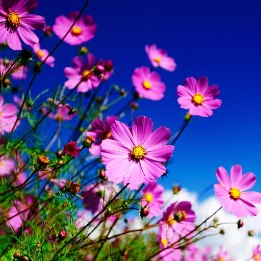 Hd-146351-ascw146351