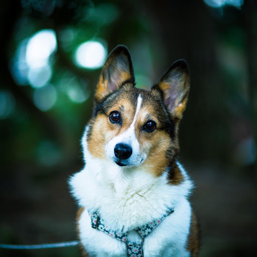 Hd-174814-ascw174814