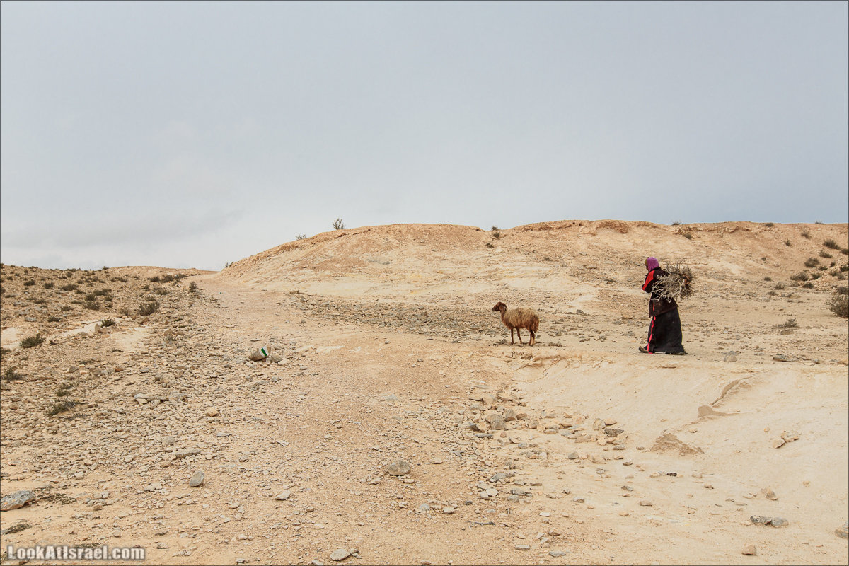 Лунные пейзажи пустыни Негев | Lunar landscapes of the Negev | LookAtIsrael.com - Фото путешествия по Израилю