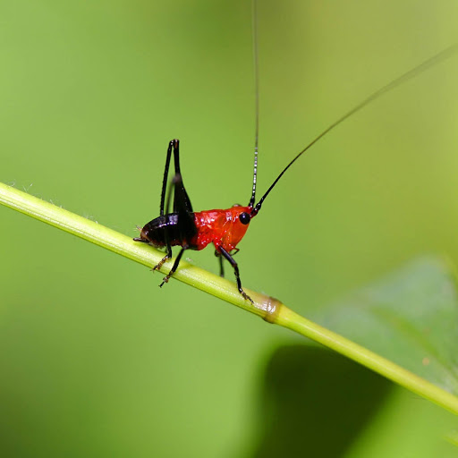 Hd-152768-ascw152768