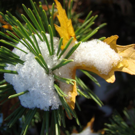 Hd-141204-ascw141204