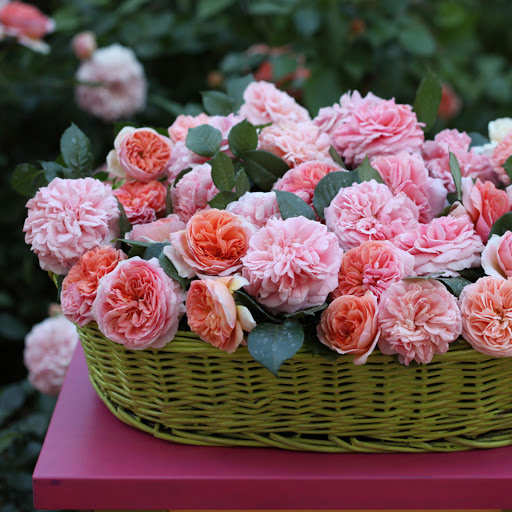 Hd-171397-ascw171397