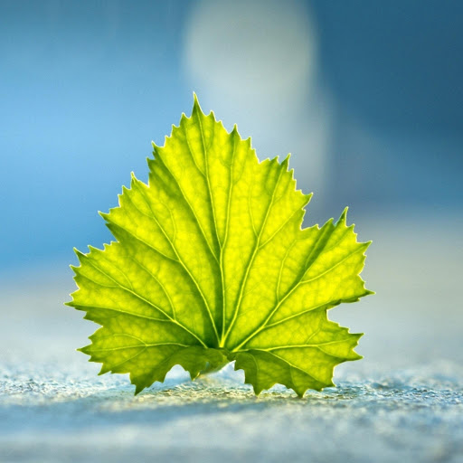 Hd-176985-ascw176985