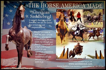 10 - American Saddlebred Museum Poster