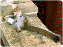 Evite os vícios ruins…