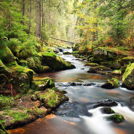 Hd-150406-ascw150406