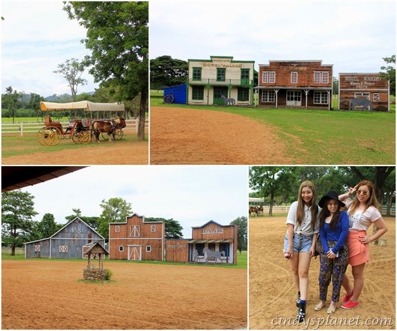 [chok%2520chai%2520farm%2520cowboy%2520surrounding%255B3%255D.jpg.webp]