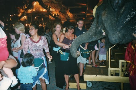 15. Elefant la Phuket Fantasea.jpg