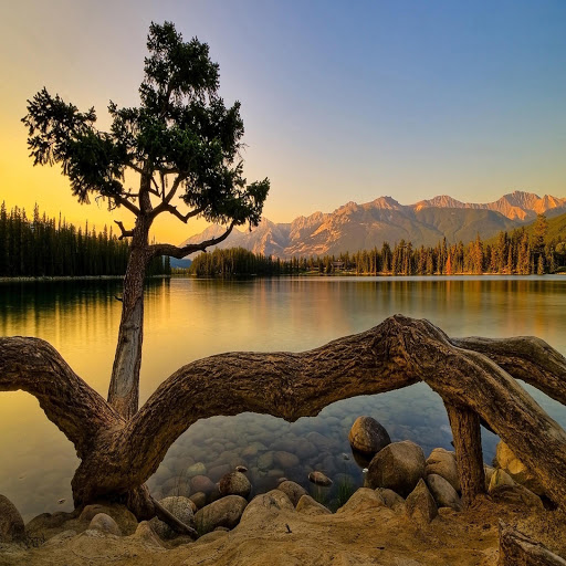 Hd-140804-ascw140804