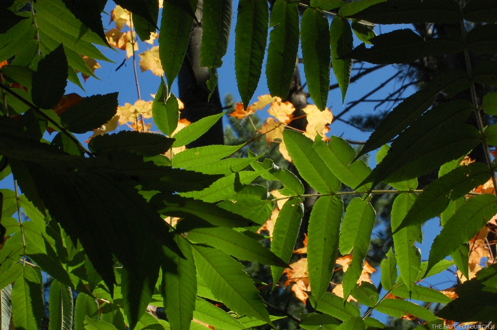 [DSC_6959%255B4%255D.jpg]