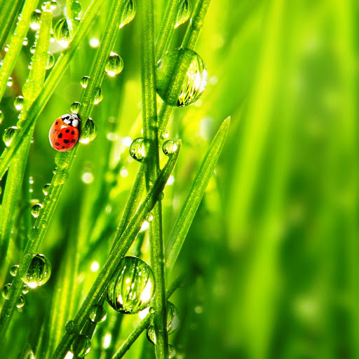 Hd-142658-ascw142658