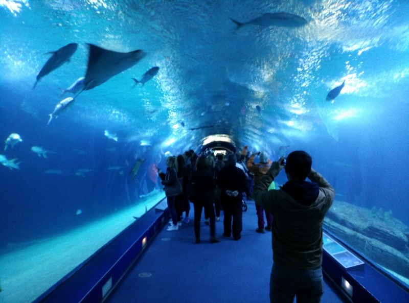 [IMG_20150219_130438%2520%2528800x593%2529%255B5%255D.jpg]