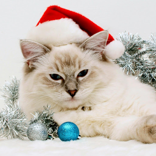 Hd-182405-ascw182405