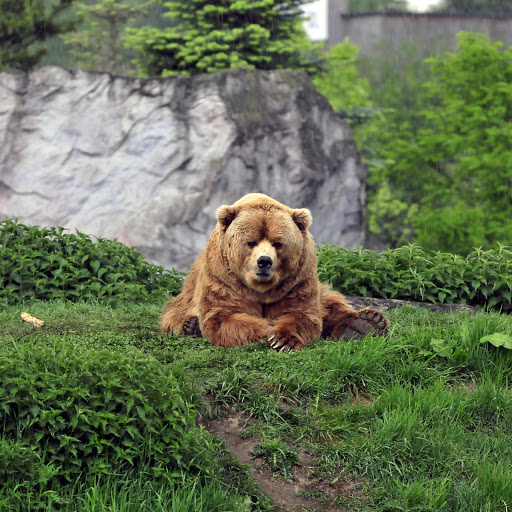 Hd-178104-ascw178104