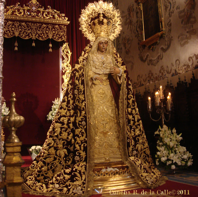 Virgen de la Amargura - Besamanos novbre. 2011 00.jpg