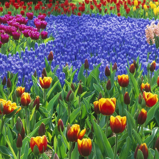 Hd-140087-ascw140087