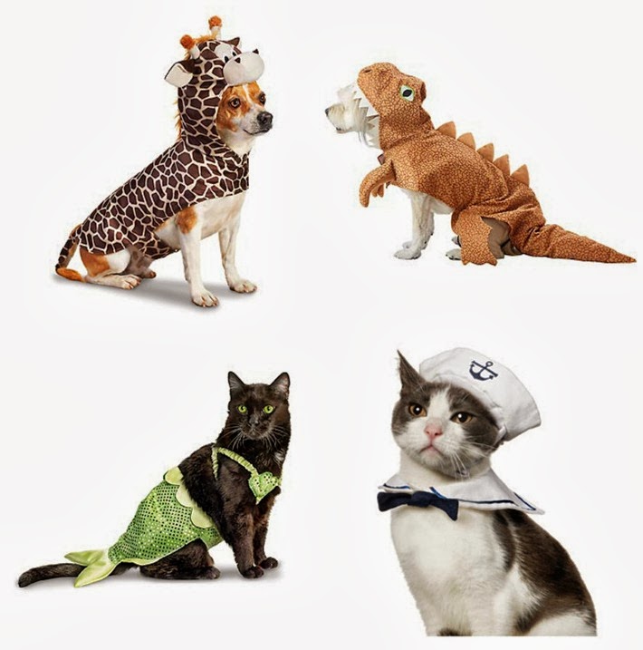 Halloween Pet Costumes 1