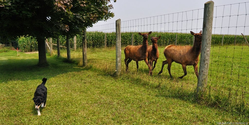 [DSC_0012%255B4%255D.jpg]