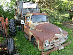 2013-06-17 Hecla Island - 103