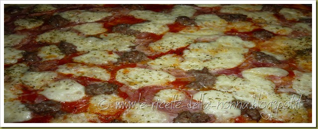 Pizza con salsiccia, mozzarella e origano (7)