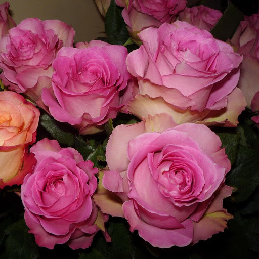 Hd-161882-ascw161882