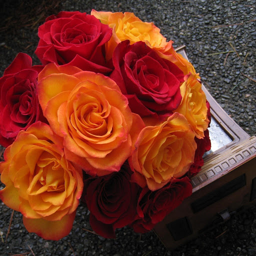 Hd-177946-ascw177946