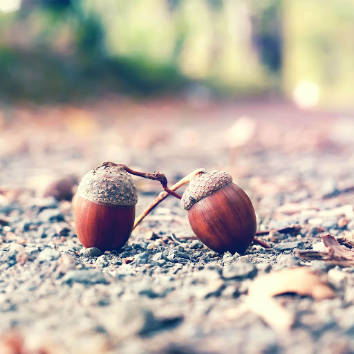 Hd-167568-ascw167568