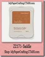 saddle-200
