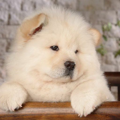 Hd-173899-ascw173899