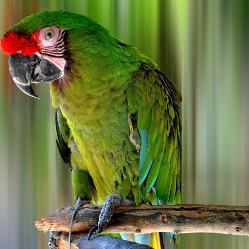 Hd-178610-ascw178610