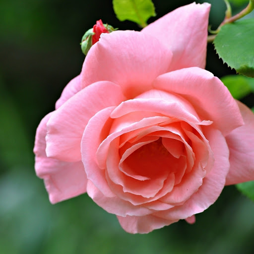 Hd-167225-ascw167225