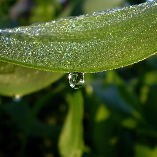 Hd-181843-ascw181843