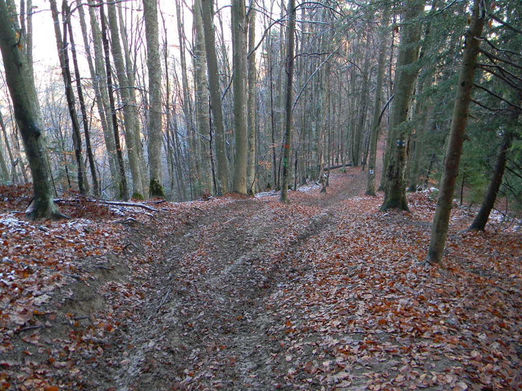 [DSCN04063.jpg]