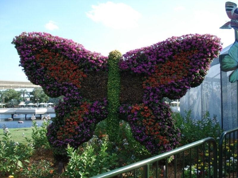 [Epcot%2520butterfly%2520topiary%255B2%255D.jpg]