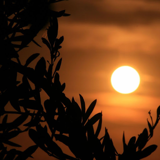 Hd-137605-ascw137605