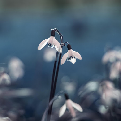 Hd-161887-ascw161887