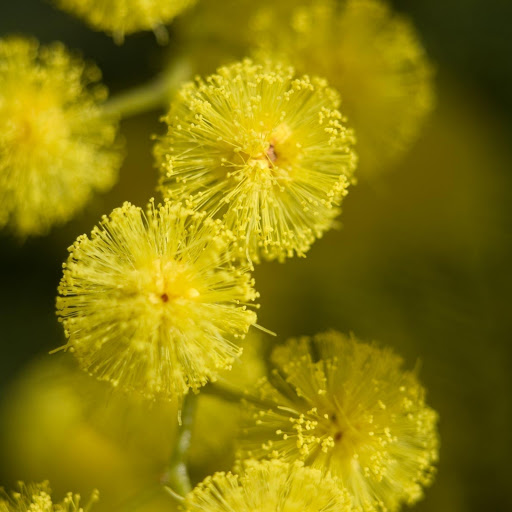 Hd-145458-ascw145458