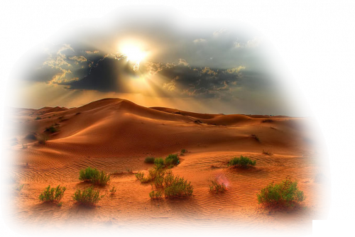 38_26.png