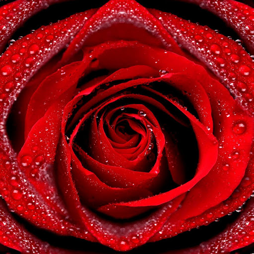 Hd-138101-ascw138101