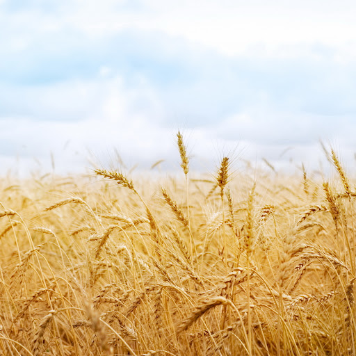 Hd-149605-ascw149605