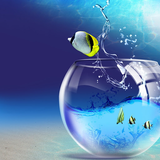 Hd-134648-ascw134648