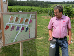 Burgenland 2012 - 069