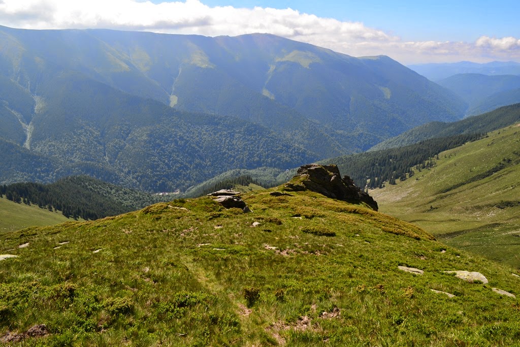 [DSC_90373.jpg]