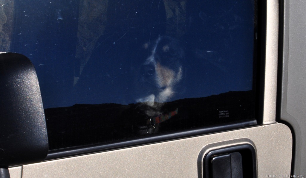 [DSC_0018%255B4%255D.jpg]