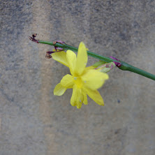 pentax_mx1_30.jpg